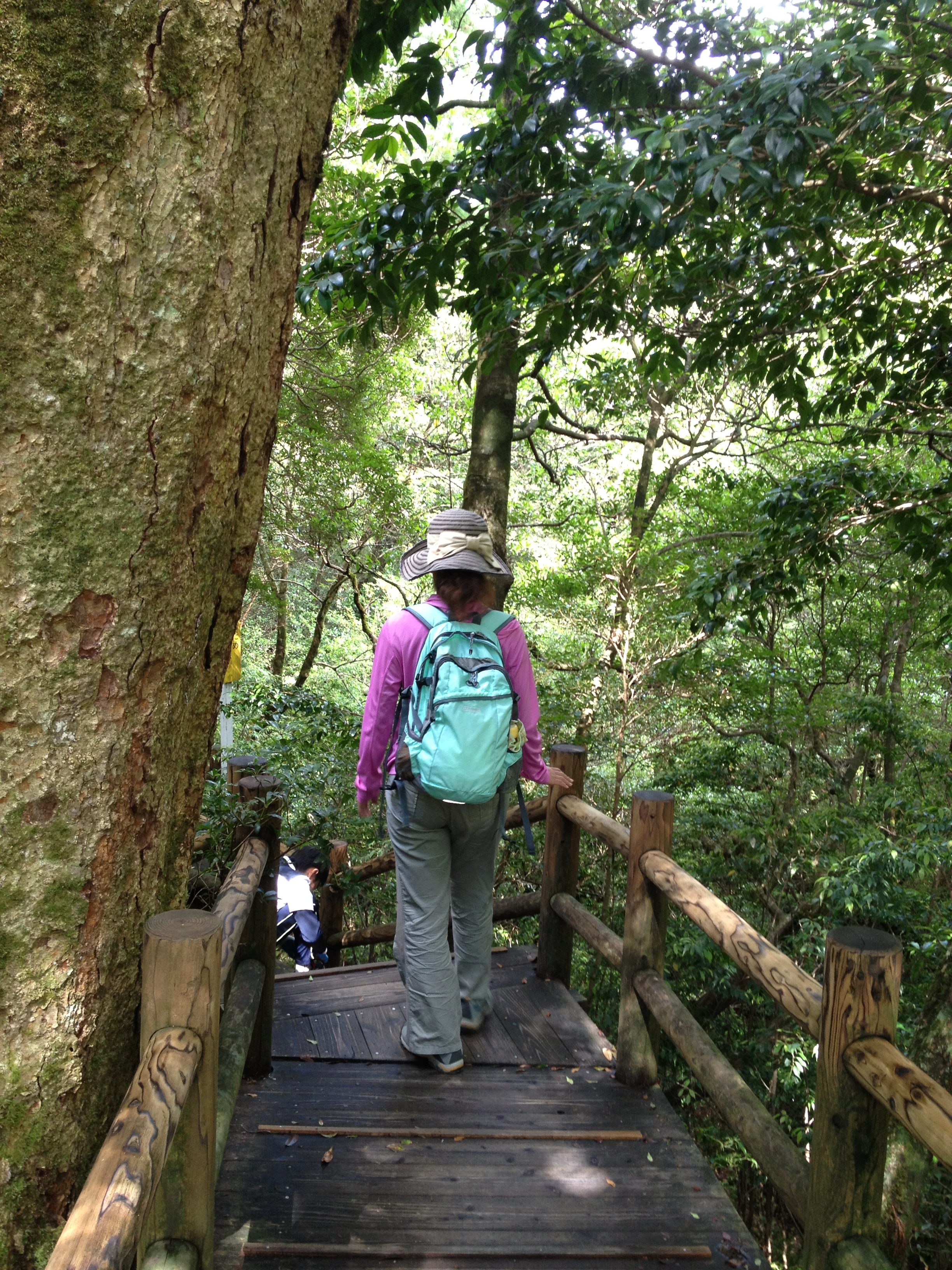 登山初心者 近場の山に登る 山に登ってみない 登山初心者のために